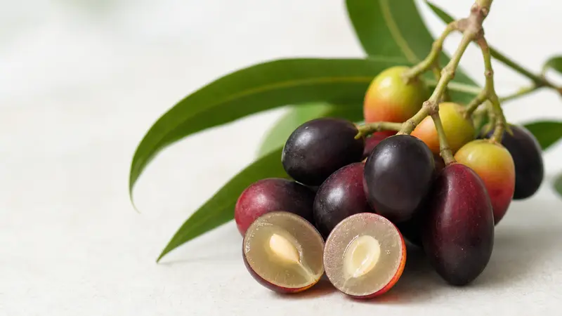 Pesona Aviatrix Fruits: Jelajahi Metaverse dengan Sensasi Slot Buah